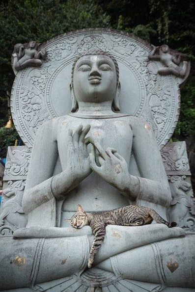 Buddha