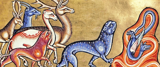 bestiario animali arcani bestiario animali arcani